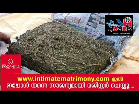 ഒഡീഷയിൽ നിന്ന് നിരവധി ചെക്ക് പോസ്റ്റുകൾ താണ്ടി കൊടുങ്ങല്ലൂരിലേക്ക് വന്ന നാഷണൽ പെർമിറ്റ് ലോറിയെ കുറിച്ച് രഹസ്യവിവരം, പരിശോധിച്ചപ്പോൾ നൂറ്റമ്പത് കിലോയോളം കഞ്ചാവ്