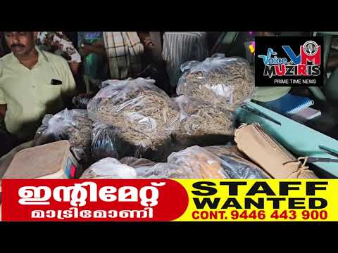 തീര ദേശത്ത് വൻ കഞ്ചാവ് വേട്ട; മഹാരാഷ്ട്ര സ്വദേശി അറസ്റ്റിൽ.