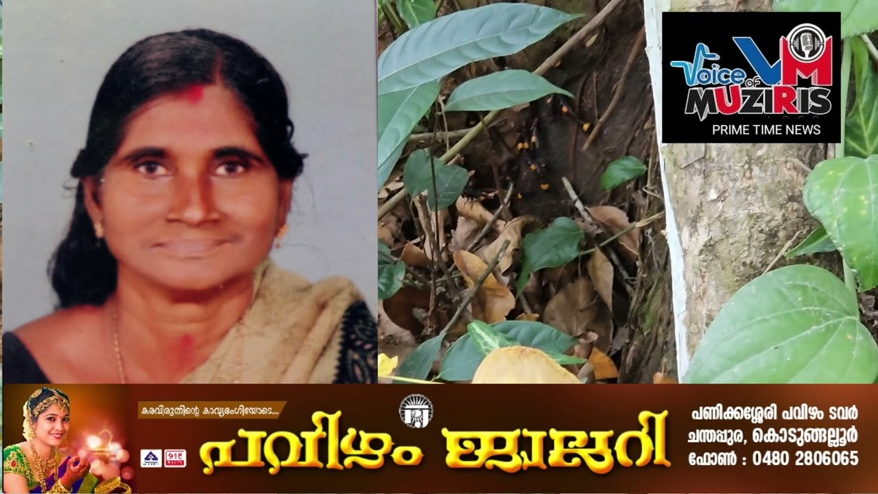 കടന്നൽ കുത്തേറ്റ് ചികിത്സയിൽ കഴിഞ്ഞിരുന്ന തൊഴിലുറപ്പ് തൊഴിലാളി മരിച്ചു