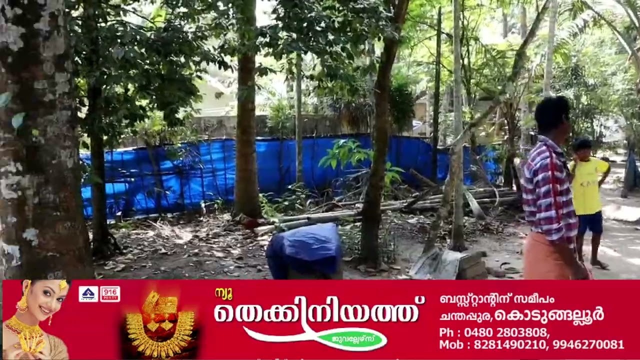കൊടുങ്ങല്ലൂരിലെ മേത്തല വയലമ്പത്ത് കടന്നൽക്കുത്തേറ്റ് 3 പേർക്ക് പരിക്കേറ്റു, ഗുരുതര പരിക്കേറ്റ ഒരാളെ ആശുപത്രിയിൽ പ്രവേശിപ്പിച്ചു.
