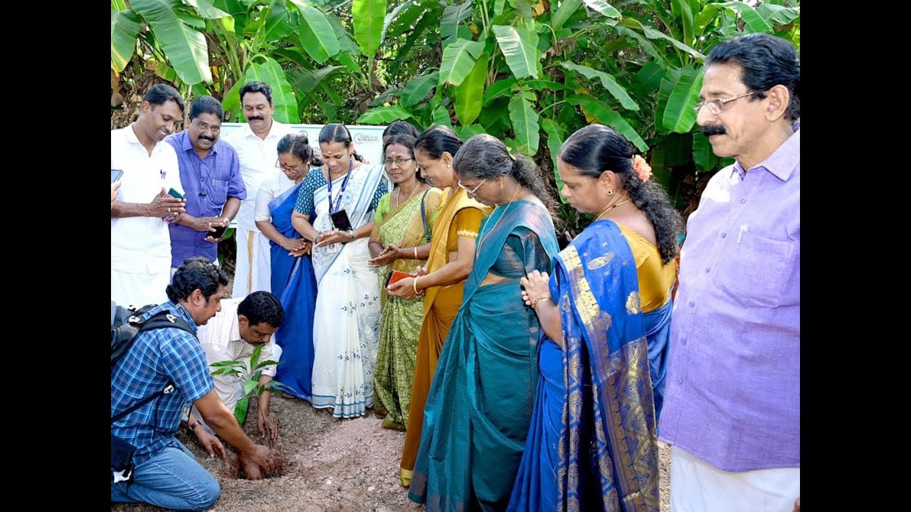കൊടുങ്ങല്ലൂർ നഗരസഭ കെ.എസ്.ആർ.ടി.സി സബ് ഡിപ്പോ കോമ്പൗണ്ടിൽ അയ്യങ്കാളി നഗര തൊഴിലുറപ്പ് പദ്ധതിയും ഹരിത കേരളം മിഷനും സംയുക്തമായി ആരംഭിച്ച പച്ചത്തുരുത്തിൻ്റെ ഉദ്ഘാടനം നടന്നു