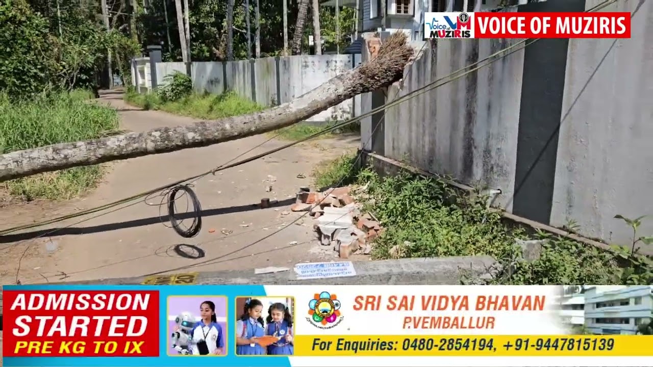 തെങ്ങ് ഒടിഞ്ഞു വീണ് ഇലക്ട്രിസിറ്റി പോസ്‌റ്റുകൾ തകർന്നു.