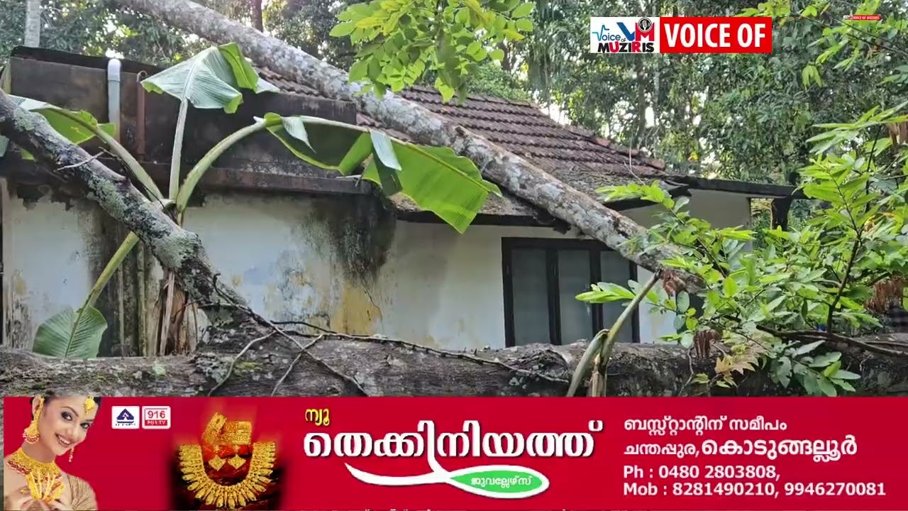 കനത്ത കാറ്റിലും മഴയിലും വ്യാപക നാശനഷ്ടം