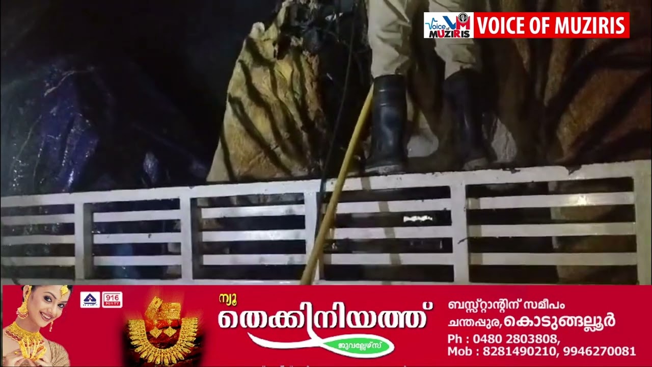 കൊടുങ്ങല്ലൂരിലെ അഴീക്കോട് ലോറിയിൽ കയറ്റി കൊണ്ടു പോകുകയായിരുന്ന ഡമ്മി മൃഗങ്ങൾക്ക് തീപിടിച്ചു.