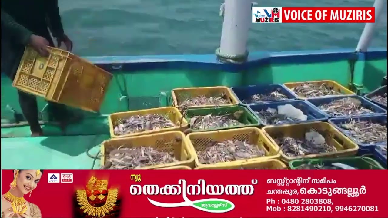 നിരോധിത വലകൾ ഉപയോഗിച്ച് അനധികൃത മത്സ്യബന്ധനം; 2 ബോട്ടുകൾ ഫിഷറീസ് വകുപ്പ് പിടിച്ചെടുത്ത് പിഴ ചുമത്തി