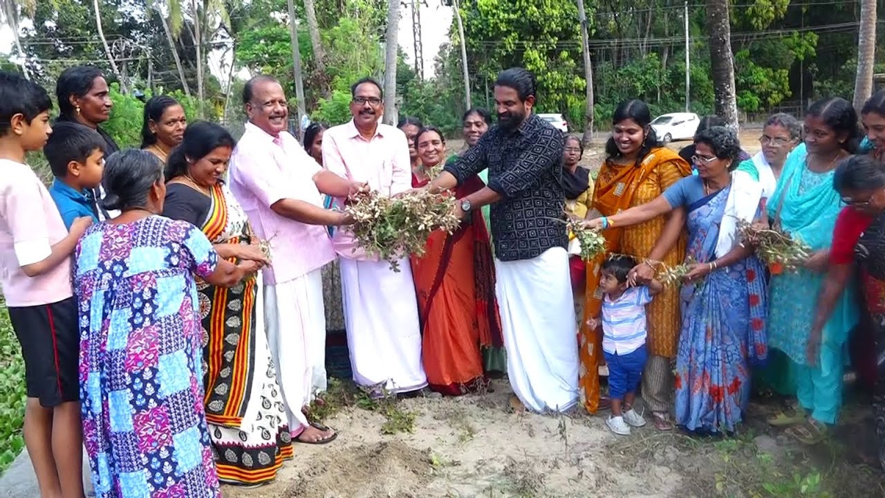 ശ്രീനാരായണപുരം ഗ്രാമപഞ്ചായത്തിൽ കപ്പലണ്ടികൃഷിയിൽ നൂറ്മേനി വിളവ്