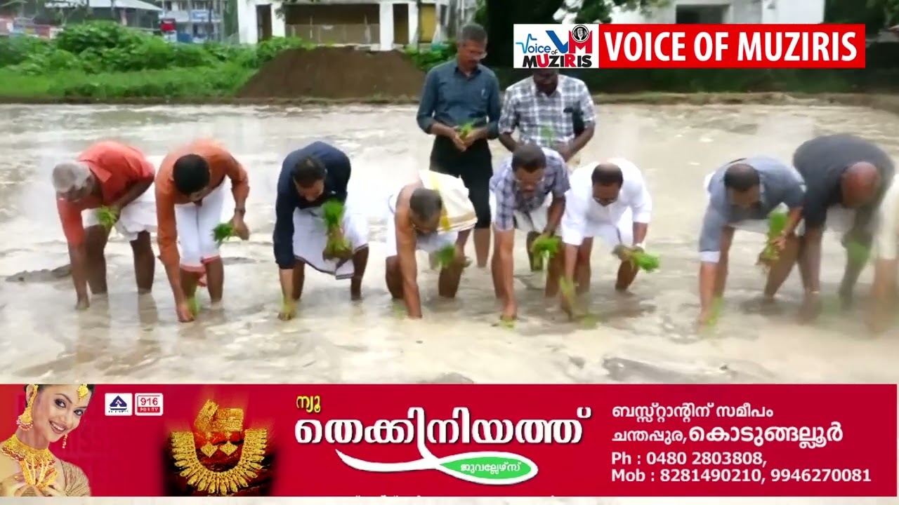 കൊച്ചിൻ ദേവസ്വം ബോർഡ് നടപ്പിലാക്കുന്ന ദേവാങ്കണം ചാരുഹരിതം പദ്ധതിയുടെ വകുപ്പുതല ഉദ്‌ഘാടനം നടന്നു .