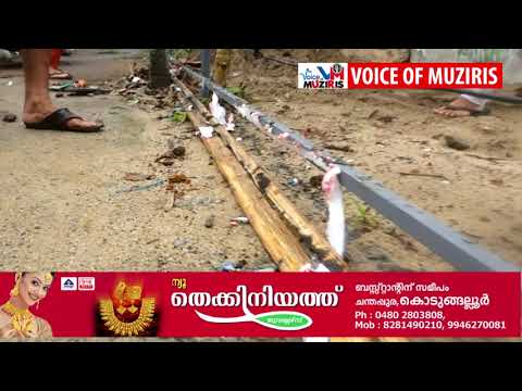 വീടിന്റെ വേലി കത്തിച്ചതായി പരാതി