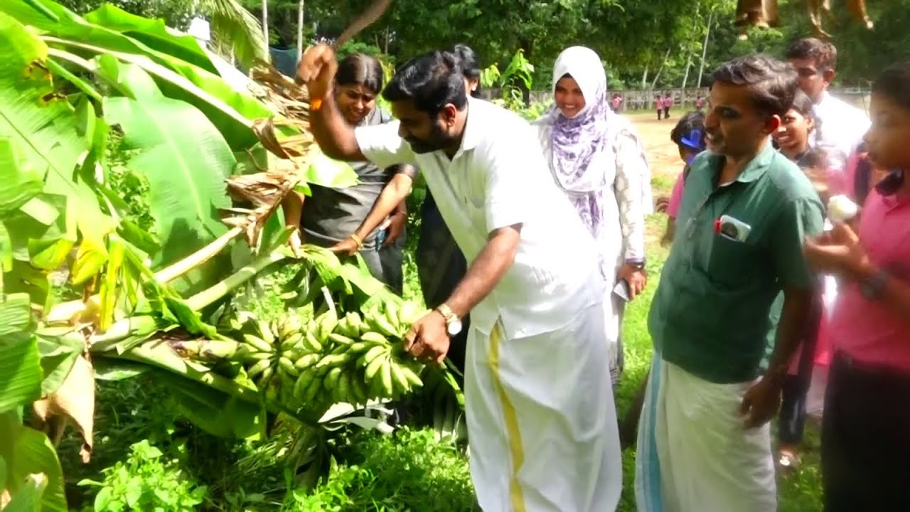 എക്കോ ക്ലബ് പ്രവർത്തനങ്ങൾക്ക് തുടക്കമിട്ട് ബാലനുബോധിനി എൽ പി& യു. പി വിദ്യാലയത്തിലെ കുട്ടികൾ.