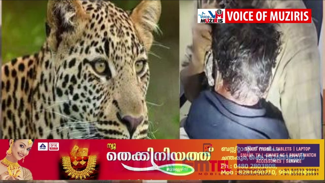 നാല് വയസുകാരനെ പുലി ആക്രമിച്ചു