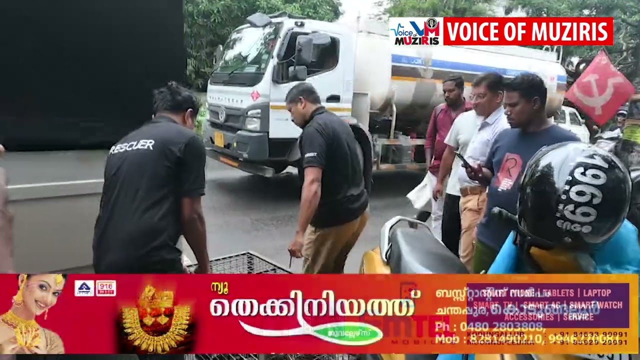 മതിലകത്ത് മുള്ളൻപന്നിയെ കണ്ടെത്തി