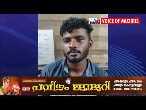പ്രായപൂർത്തിയാകാത്ത പെൺകുട്ടിയെ ആക്രമിച്ച് മാനഹാനി വരുത്തിയ കേസിൽ യുവാവിനെ അറസ്റ്റ് ചെയ്തു