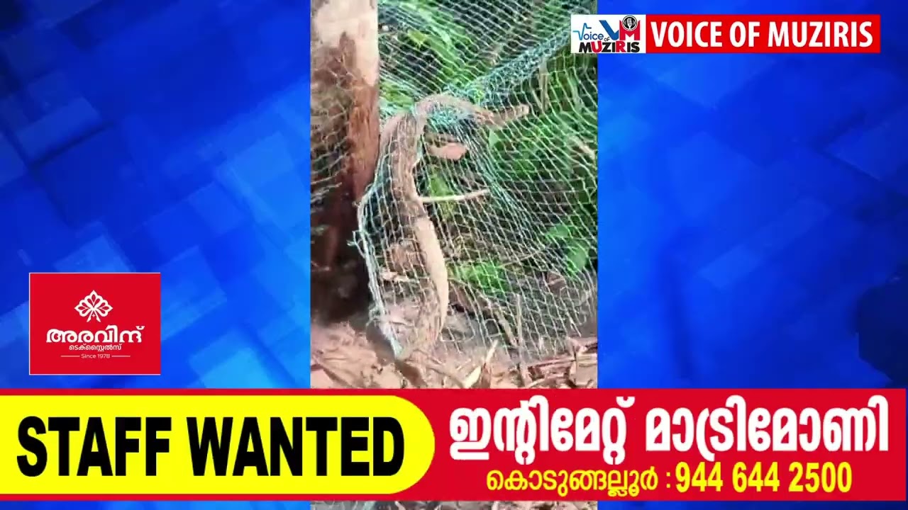 സനേക്ക് റെസ്ക്യൂവറിന് പാമ്പിൻ്റെ കടിയേറ്റു.