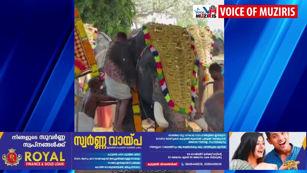 ആനയുടെ ആക്രമണത്തിൽ യുവാവിന് പരിക്കേറ്റു.