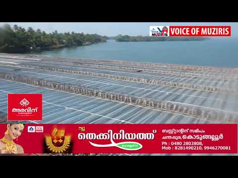 കോട്ടപ്പുറം മുത്തകുന്നം പാലത്തിന്റെ 2 തൂണുകൾ താഴ്ന്നു. പൈലിങ്ങിന്റെ തകരാറെന്നു പ്രാഥമിക നിഗമനം.