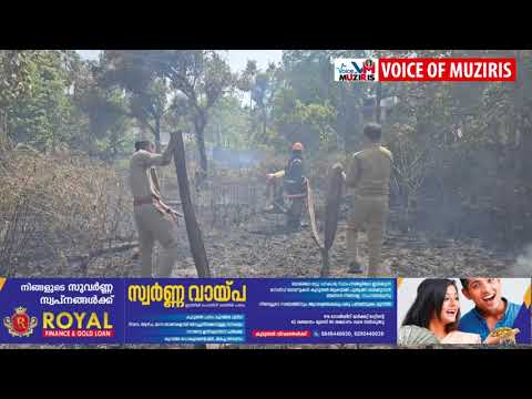 ചെന്ത്രാപ്പിന്നിയിൽ ആളൊഴിഞ്ഞ പറമ്പിൽ തീപിടിത്തം.