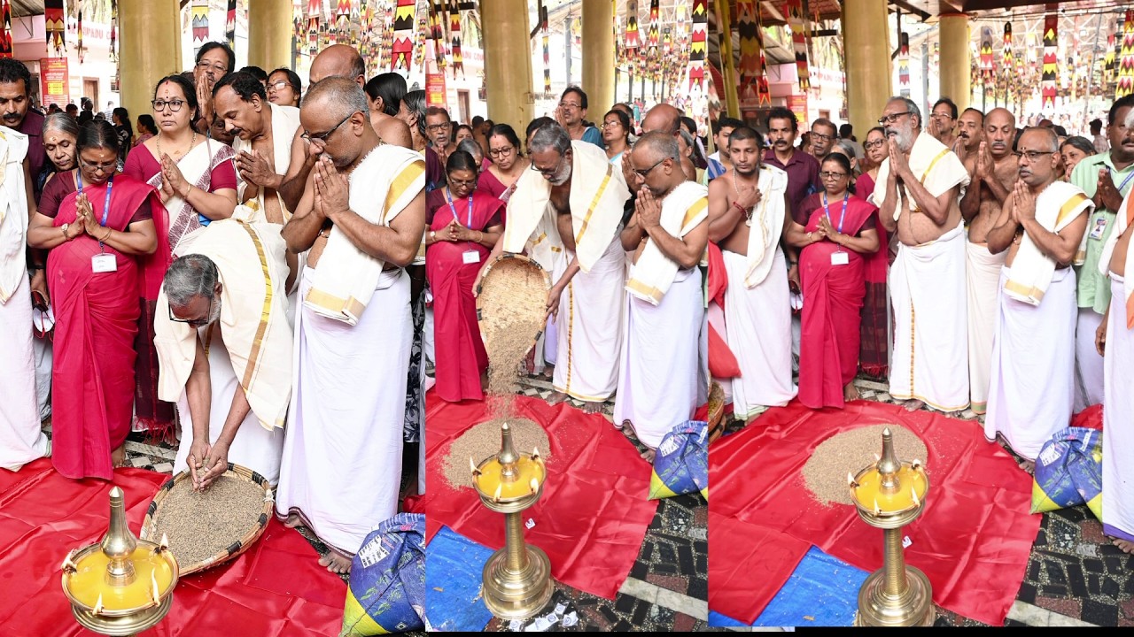ശ്രീകുരുംബക്കാവിൽ ഭരണിനാളിൽ ഭഗവതിക്ക് നിവേദിക്കുന്ന വരിയരിപ്പായസത്തിനുള്ള വരിനെല്ലെത്തി..