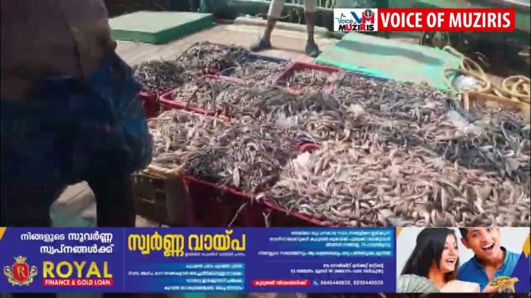 നിരോധിത വലകൾ ഉപയോഗിച്ച് ചെറുമത്സ്യങ്ങളെ പിടിച്ച ബോട്ട് ഫിഷറീസ് മറൈൻ എൻഫോഴ്സ്മെന്റ് അധികൃതർ പിടികൂടി