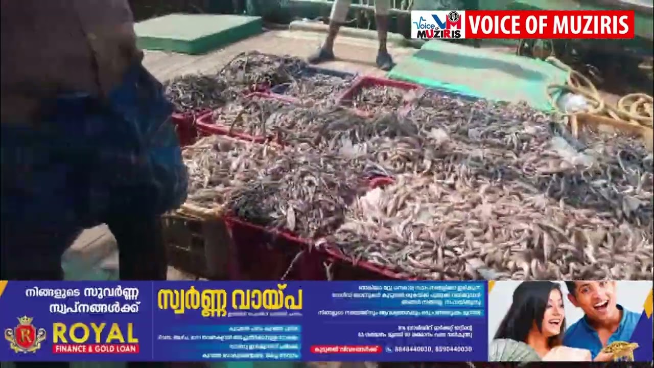 നിരോധിത വലകൾ ഉപയോഗിച്ച് ചെറുമത്സ്യങ്ങളെ പിടിച്ച ബോട്ട് ഫിഷറീസ് മറൈൻ എൻഫോഴ്സ്മെന്റ് അധികൃതർ പിടികൂടി