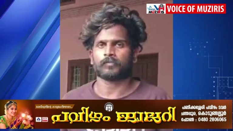 പോക്‌സോ കേസിൽ പ്രതിക്ക് 28 വർഷം കഠിനതടവും പിഴയും ശിക്ഷ