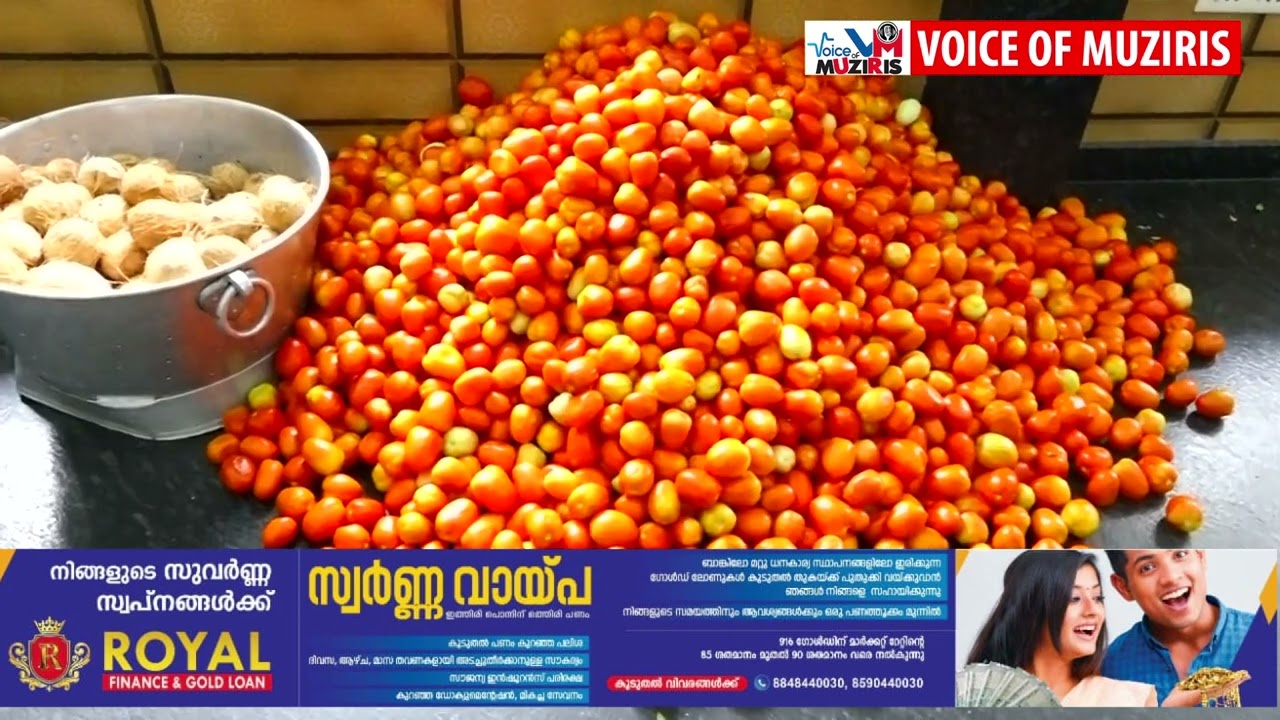 ചെട്ടിക്കാട് വിശുദ്ധ അന്തോണീസിൻ്റ തീർത്ഥാടന കേന്ദ്രത്തിൽ ഊട്ടു തിരുനാൾ നാളെ.ഒരുക്കങ്ങൾ പൂർത്തിയായി