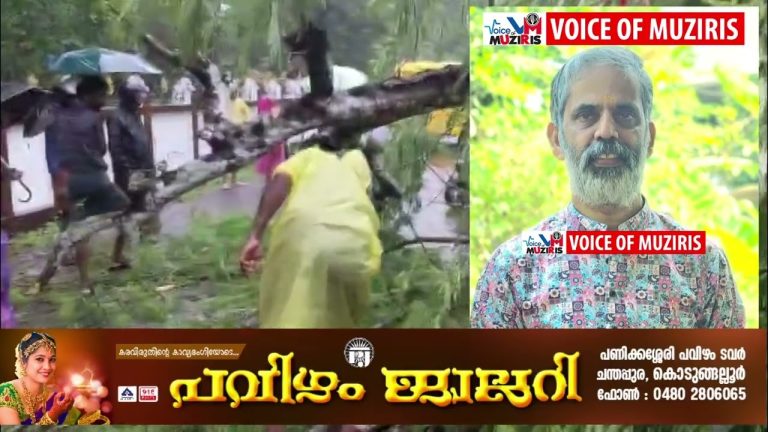കനത്ത മഴയിൽ ശ്രീനാരായണപുരത്ത് മരം വീണ് സ്‌കൂട്ടർ യാത്രികൻ മരിച്ചു