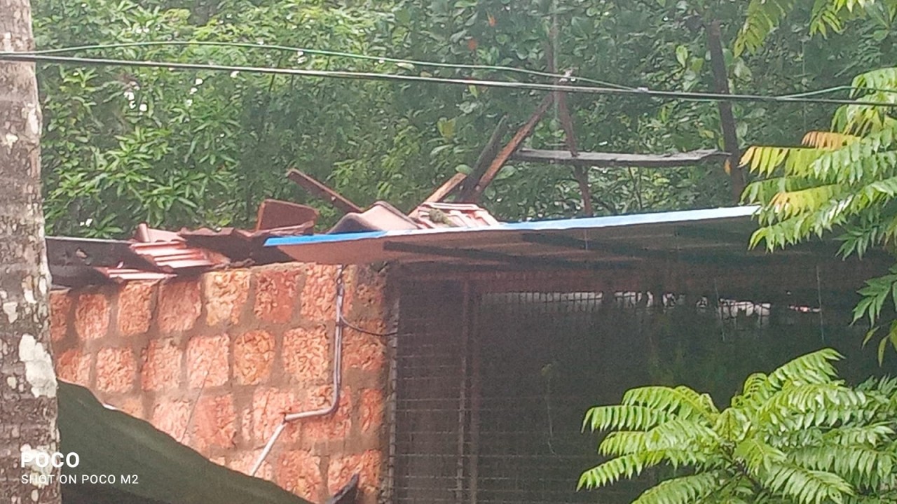 കനത്ത മഴയിൽ വീടിന്റെ മേൽക്കൂര നിലം പൊത്തി