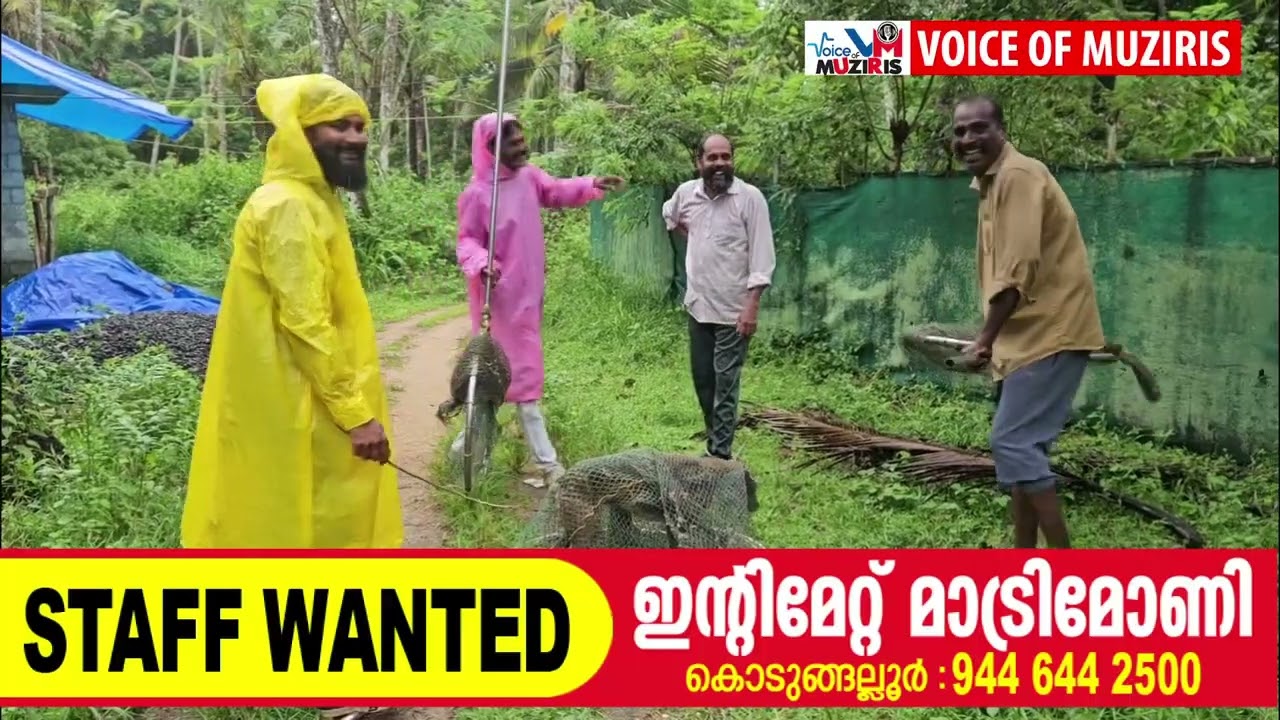 കയ്പമംഗലത്ത് രണ്ട് സ്ത്രീകൾക്ക് തെരുവ് നായയുടെ കടിയേറ്റു