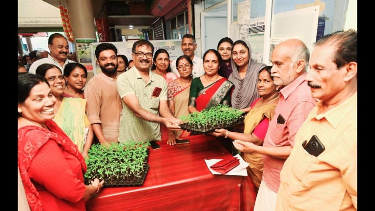കൊടുങ്ങല്ലൂർ നഗരസഭ ചെണ്ടുമല്ലി തൈകൾ വിതരണം ചെയ്തു