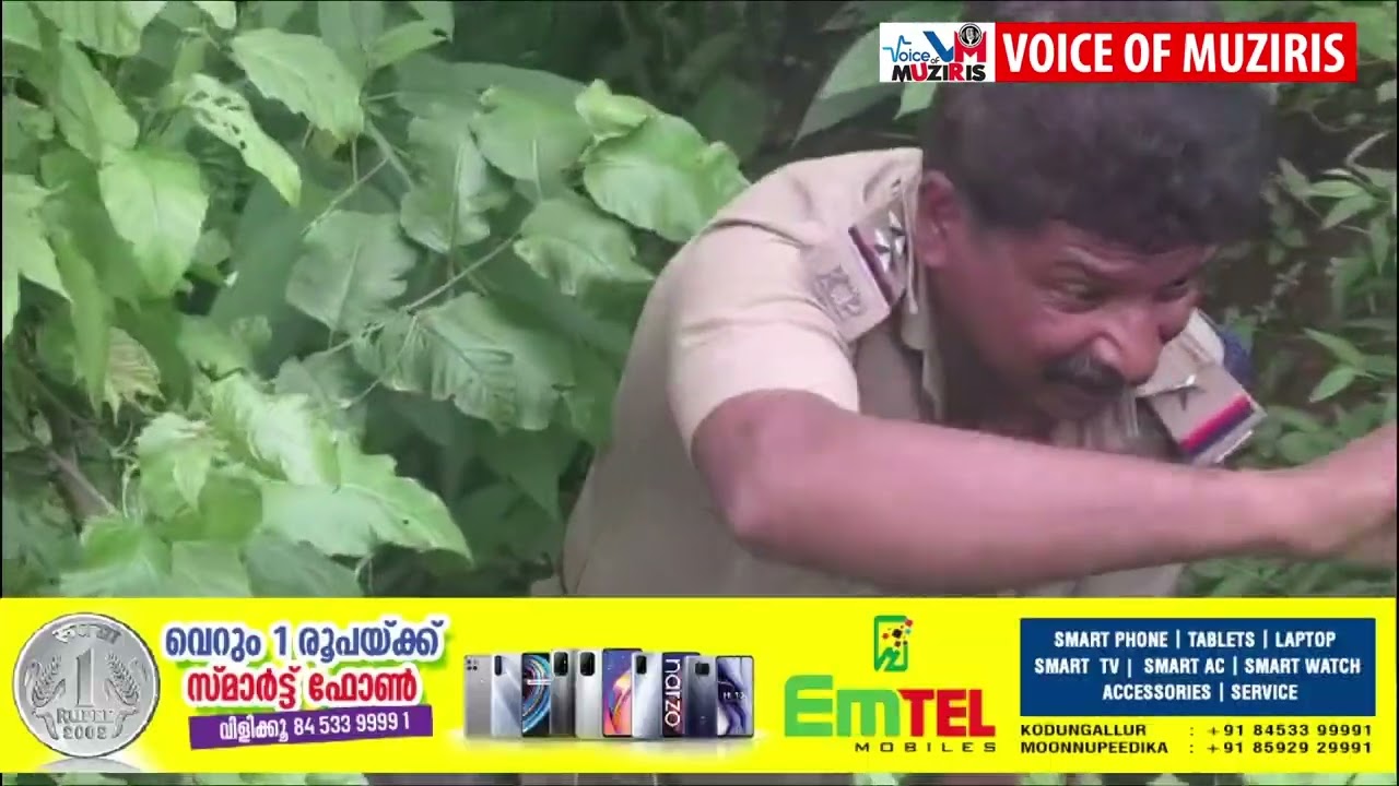 കൊക്കയിൽ വീണ വിനോദ സഞ്ചാരിയെ സാഹസികമായി രക്ഷപ്പെടുത്തി