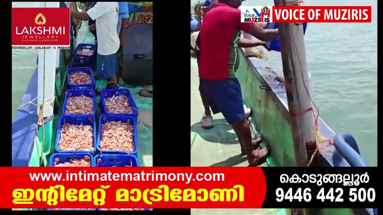 തീവ്രതയേറിയ ലൈറ്റ് ഉപയോഗിച്ച് അനധികൃത മത്സ്യബന്ധനം നടത്തി വന്നിരുന്ന യാനങ്ങള്‍ക്കെതിരേ കര്‍ശന നടപടിയെടുത്ത് ഫിഷറീസ് – മറൈന്‍ എന്‍ഫോഴ്‌സ്‌മെന്റ്