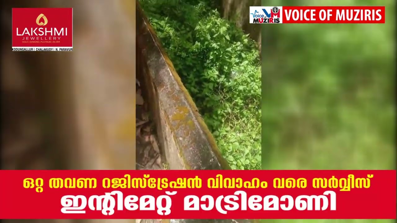 പെരിഞ്ഞനത്ത് തെരുവുനായയുടെ ആക്രമണം. എട്ട് പേർക്ക് നായയുടെ കടിയേറ്റു