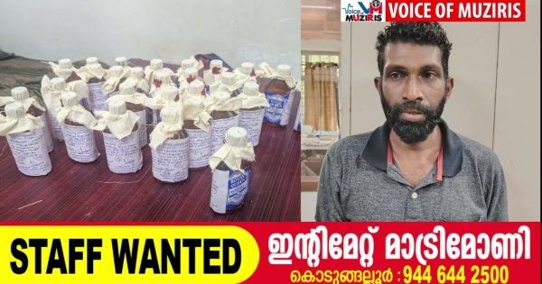 29 കുപ്പി ഗോവൻ നിർമ്മിത മദ്യവുമായി യുവാവ് പിടിയിൽ