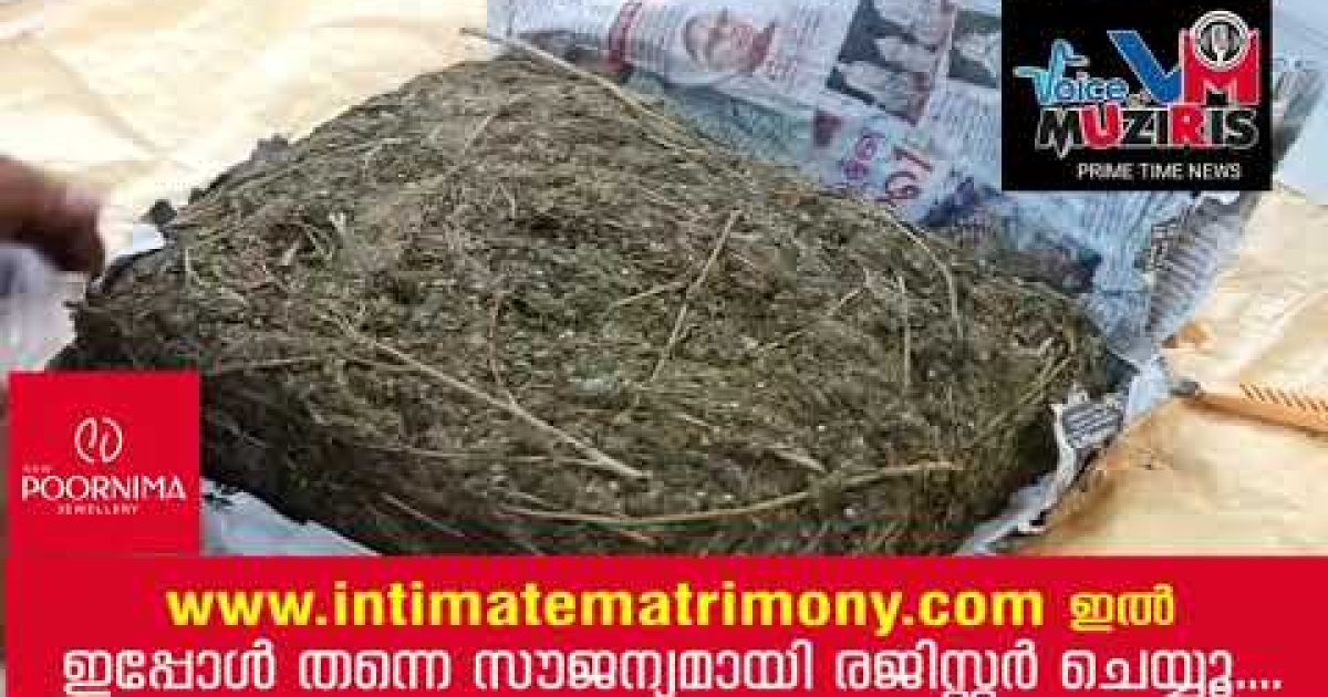 ഒഡീഷയിൽ നിന്ന്  നിരവധി ചെക്ക് പോസ്റ്റുകൾ താണ്ടി കൊടുങ്ങല്ലൂരിലേക്ക് വന്ന നാഷണൽ പെർമിറ്റ് ലോറിയെ കുറിച്ച് രഹസ്യവിവരം, പരിശോധിച്ചപ്പോൾ  നൂറ്റമ്പത് കിലോയോളം കഞ്ചാവ്