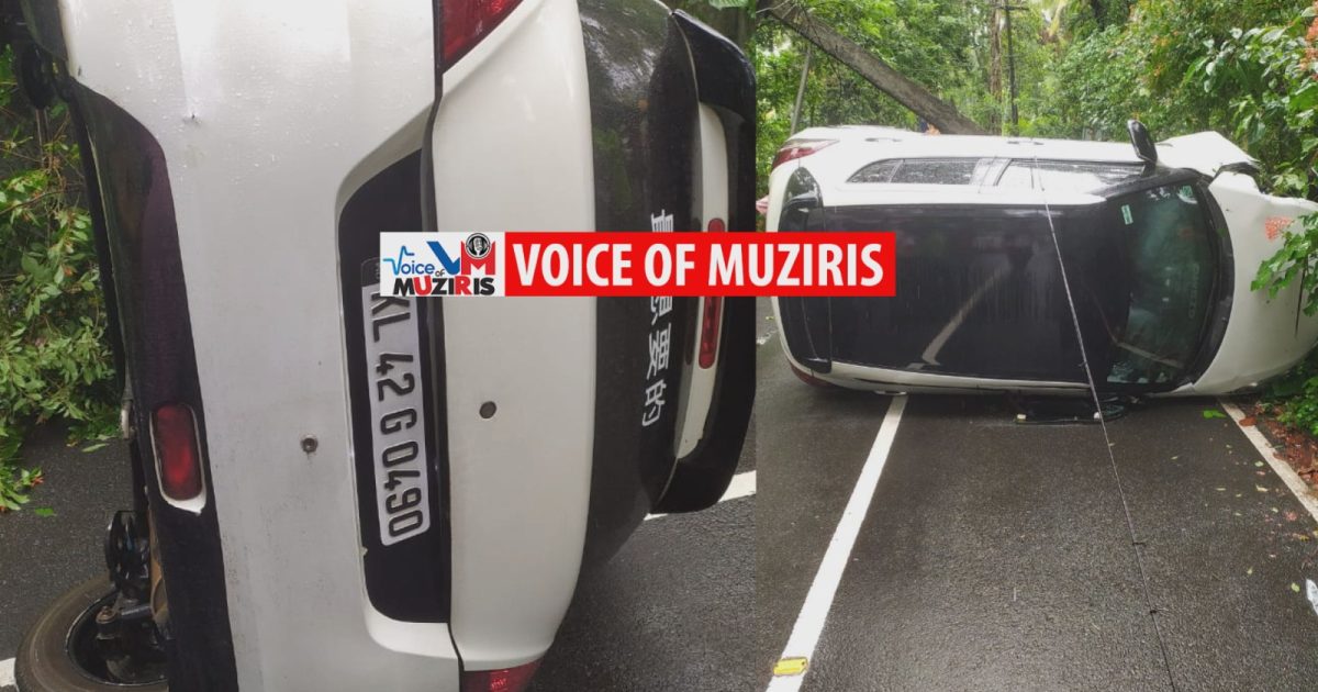 Whatsapp image 2025 06 12 at 11.48.31 am