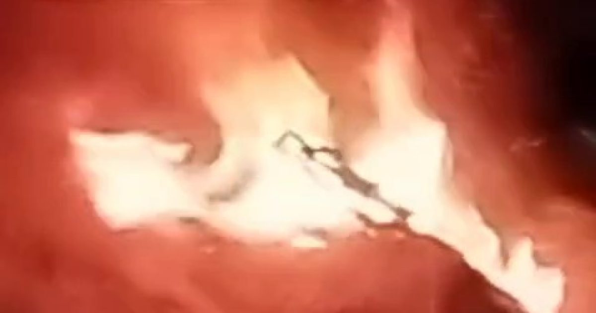 Whatsapp image 2025 06 27 at 3.41.41 pm