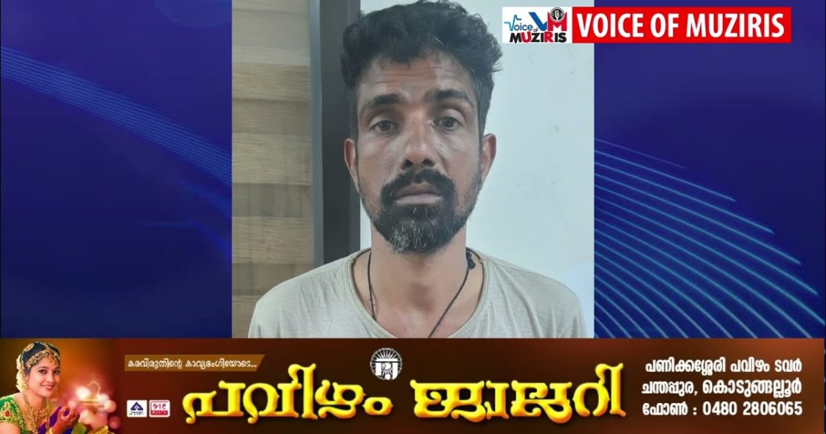 അയൽവാസിയെ വീട്ടിൽ കയറി ആക്രമിച്ച കേസിലെ പ്രതിയെ അറസ്റ്റ് ചെയ്തു