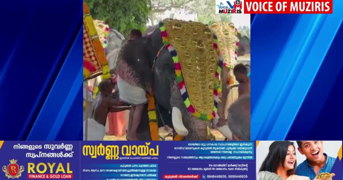 ആനയുടെ ആക്രമണത്തിൽ യുവാവിന് പരിക്കേറ്റു.
