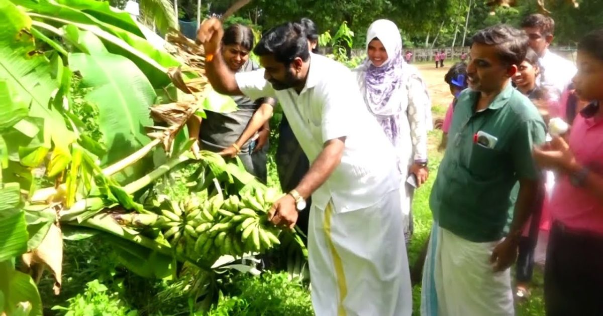 എക്കോ ക്ലബ് പ്രവർത്തനങ്ങൾക്ക് തുടക്കമിട്ട് ബാലനുബോധിനി എൽ പി& യു. പി വിദ്യാലയത്തിലെ കുട്ടികൾ.