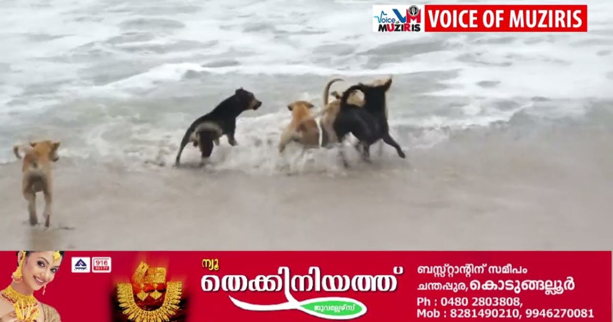 എറിയാട് പഞ്ചായത്തിലെ തെരുവ് നായ് ശല്യത്തിനെതിരെ നടപടി സ്വീകരിക്കാത്തതിൽ ബിജെപി പ്രതിഷേധം