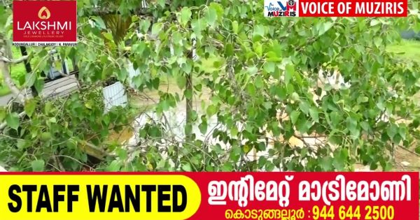 എറിയാട്ടെ രാസമാലിന്യം കൊടുങ്ങല്ലൂരിൽ നിക്ഷേപിക്കുന്നതിനെതിരെ സി.പി.എം