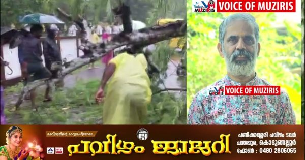 കനത്ത മഴയിൽ ശ്രീനാരായണപുരത്ത് മരം വീണ് സ്‌കൂട്ടർ യാത്രികൻ മരിച്ചു