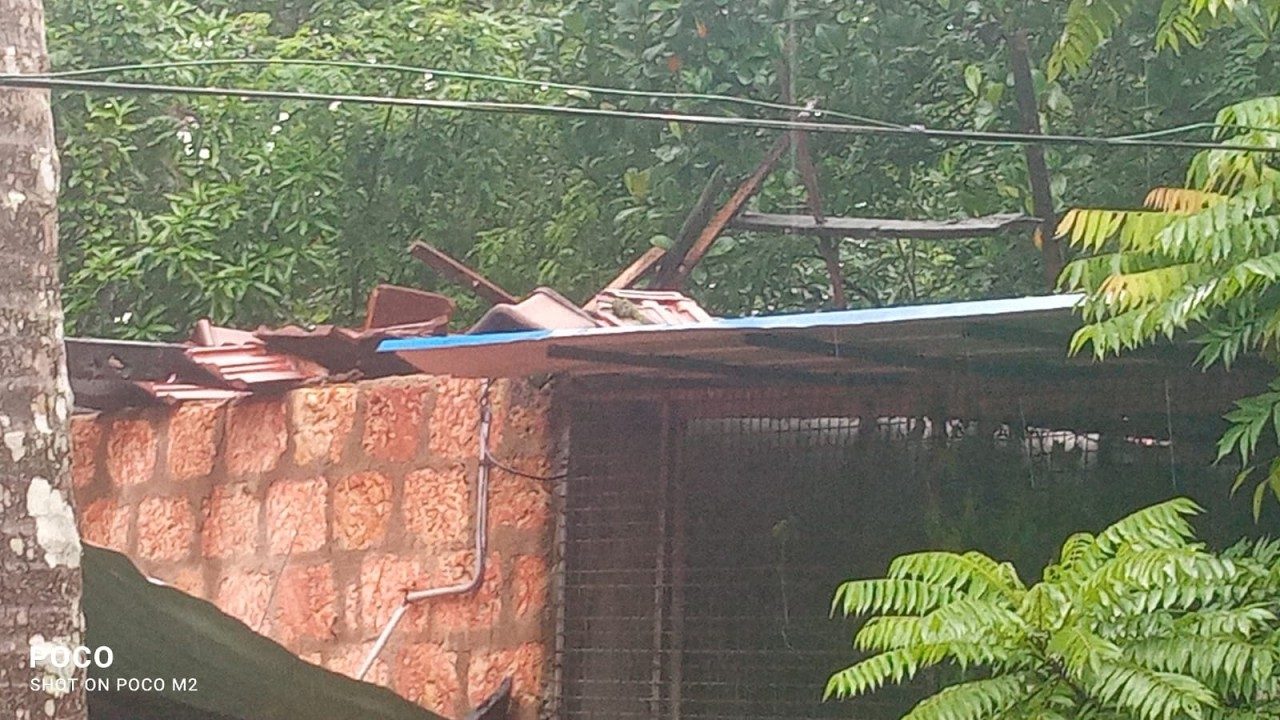കനത്ത മഴയിൽ വീടിന്റെ മേൽക്കൂര നിലം പൊത്തി
