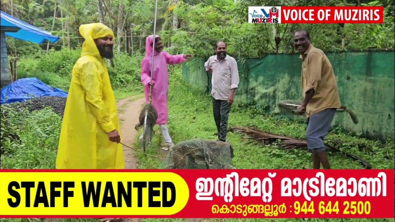 കയ്പമംഗലത്ത് രണ്ട് സ്ത്രീകൾക്ക് തെരുവ് നായയുടെ കടിയേറ്റു