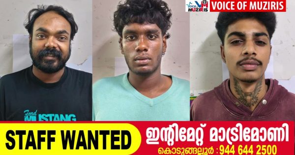 കയ്പമംഗലത്ത് ലഹരിവേട്ട: മൂന്ന് പേരെ പേരെ പോലീസ് അറസ്റ്റ് ചെയ്തു