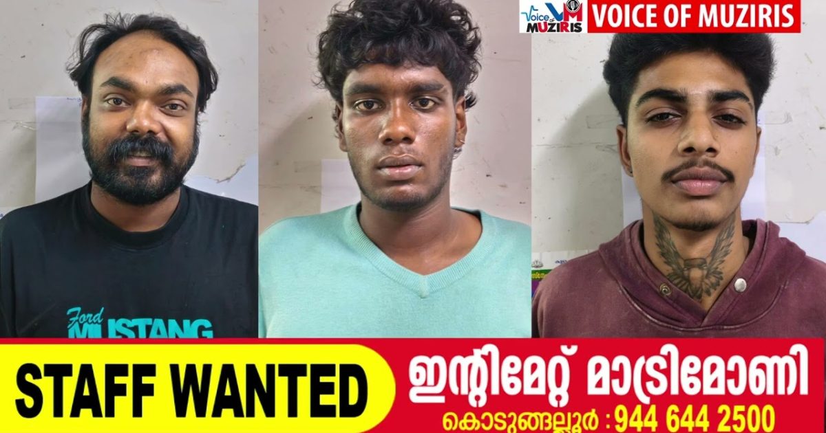 കയ്പമംഗലത്ത് ലഹരിവേട്ട: മൂന്ന് പേരെ പേരെ പോലീസ് അറസ്റ്റ് ചെയ്തു