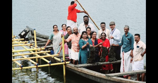 കല്ലുമ്മക്കായ കൃഷി വിളവെടുത്തു