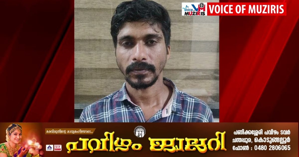 കാപ്പ ഉത്തരവ് ലംഘിച്ച നിരവധി ക്രിമിനൽ കേസിലെ പ്രതിയെ അറസ്റ്റ് ചെയ്തു.