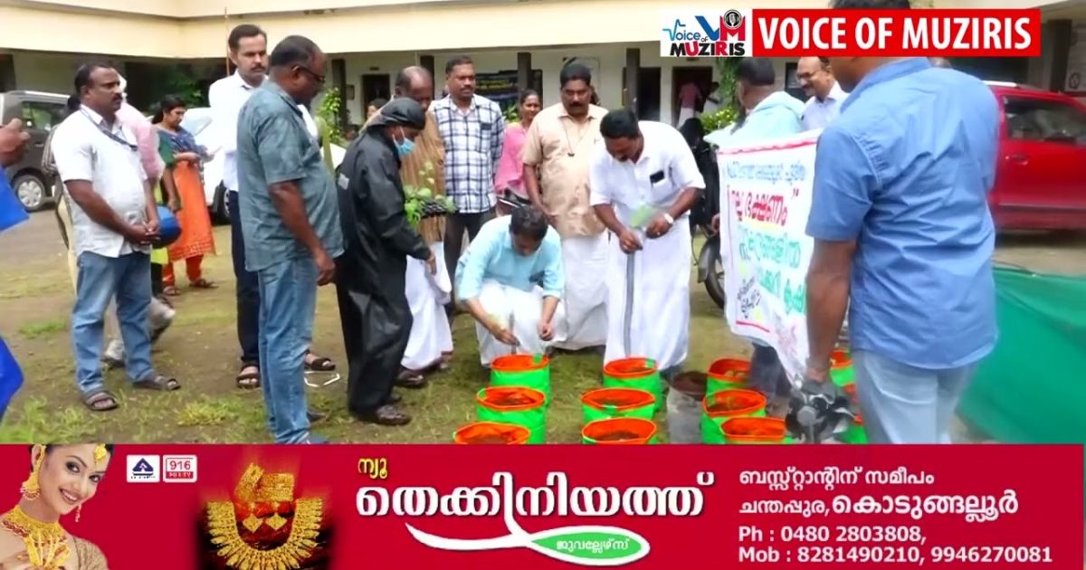 കേരള എൻജിഒ യൂണിയൻ കൊടുങ്ങല്ലൂർ ഏരിയാ കമ്മറ്റിയുടെ ആഭിമുഖ്യത്തിൽ “നല്ല ഭക്ഷണം “എന്ന കാമ്പയിൻ്റെ ഭാഗമായ് സംയോജിത പച്ചക്കറി കൃഷി നടൽ കൊടുങ്ങല്ലൂർ എം.എൽ എ അഡ്വ: വി.ആർ.സുനിൽകുമാർ പച്ചക്കറിതൈ നട്ടു കൊണ്ട് ഉദ്ഘാടനം നിർവ്വഹിച്ചു