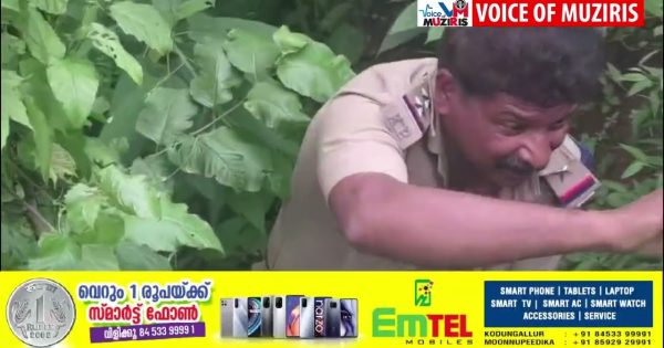 കൊക്കയിൽ വീണ വിനോദ സഞ്ചാരിയെ സാഹസികമായി രക്ഷപ്പെടുത്തി
